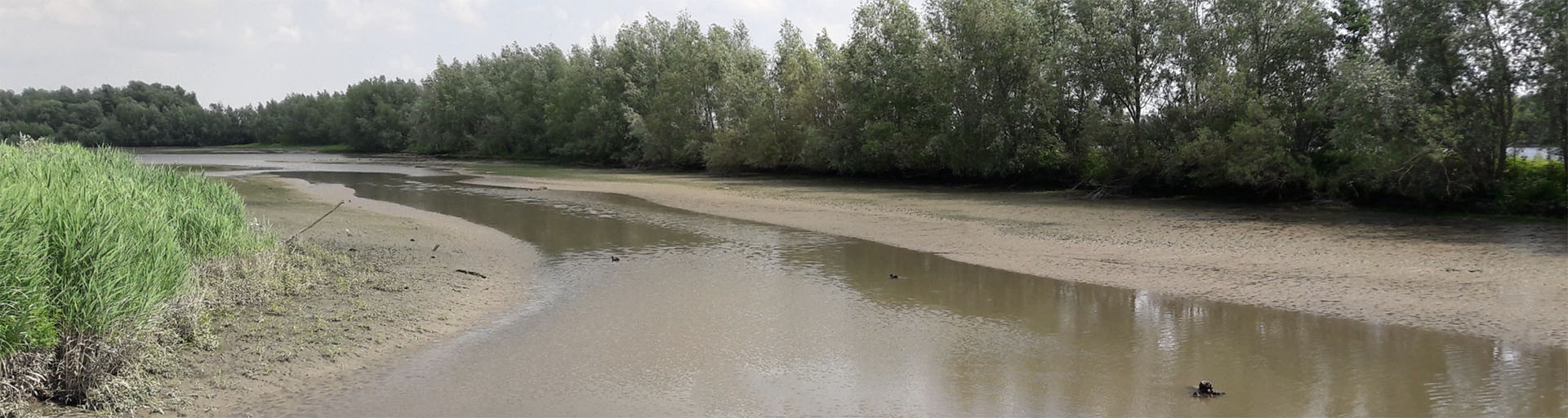 Proeftuin Sediment Rijnmond - beeldmateriaal 1